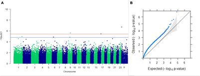 Genome-Wide Association Studies in Indian Buffalo Revealed Genomic Regions for Lactation and Fertility